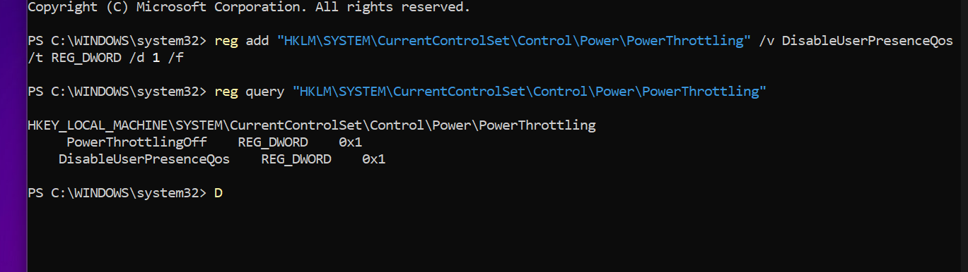 PowerThrottlingOff and DisableUserPresenceQos both set to 1 in a Windows terminal
